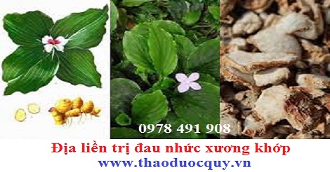 Địa Liền