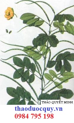 Ốc Khổng