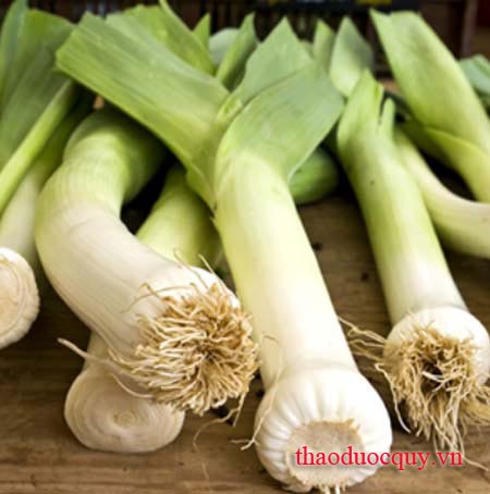 Tỏi Tây