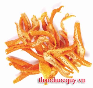 Trần Bì