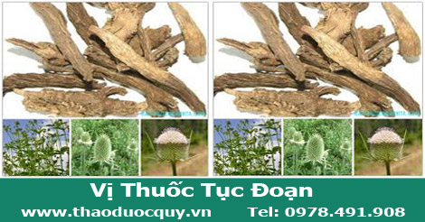 Tục đoạn