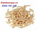 Thảo dược chống lão hóa