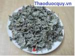 Thảo dược trị viêm loét dạ dày tá tràng