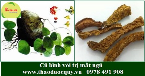 Củ B&igrave;nh V&ocirc;i